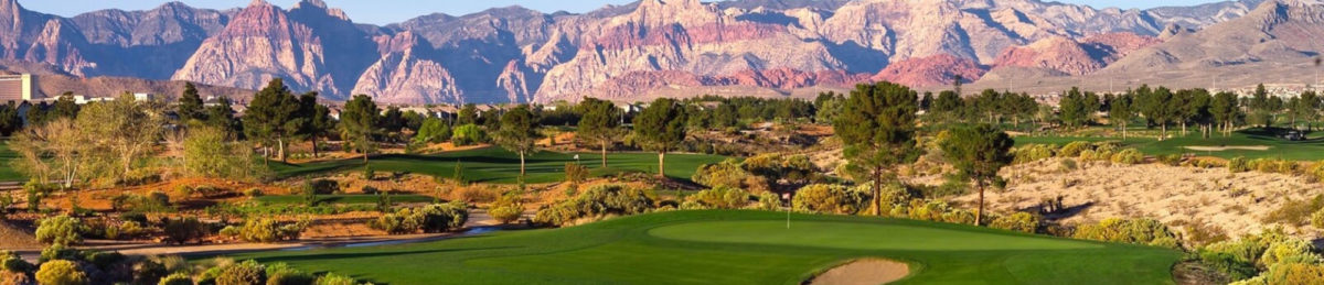 Angel Park Golf Club - Palm Course - Golfing in Las Vegas